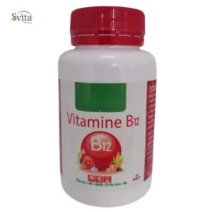 Svita Premium Vitamine B12 60 Gelules Maroc