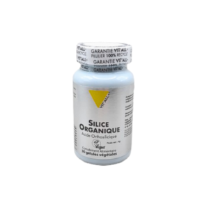 Vit’All+ VIT’ALL+ SILICE 100MG 30GEL Maroc
